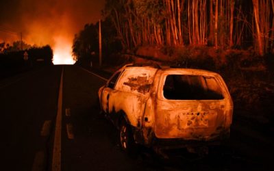 Dioceses promovem peditório nacional para as vítimas dos incêndios