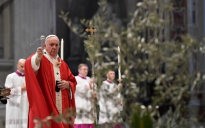 Papa convida jovens a «cultivar e testemunhar» a esperança, generosidade, solidariedade