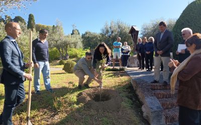 COMPROMISSO DOS JOVENS PORTUGUESES MARCADO COM PLANTAÇÃO DE SOBREIRO EM CASTEL GANDOLFO