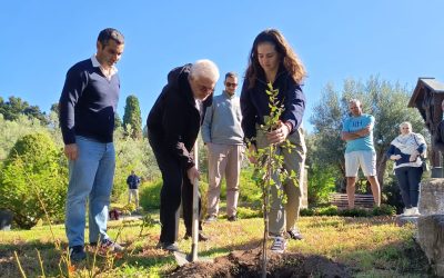 JOVENS PORTUGUESES RESPONDEM À COP30 COM AÇÃO CONCRETA: PLANTAR 25 025 ÁRVORES